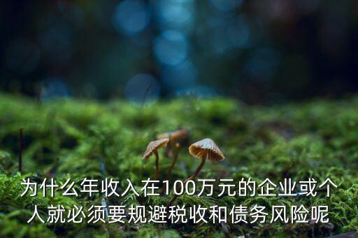 為什么年收入在100萬(wàn)元的企業(yè)或個(gè)人就必須要規(guī)避稅收和債務(wù)風(fēng)險(xiǎn)呢