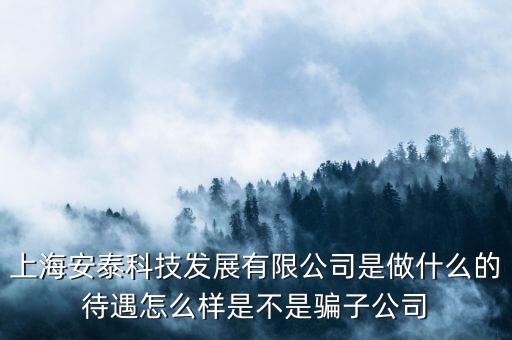 上海安泰科技發(fā)展有限公司是做什么的待遇怎么樣是不是騙子公司