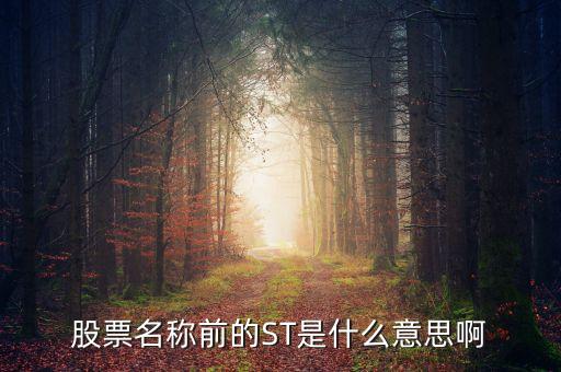 股票名字前加st什么意思，股票前加ST是什么意思