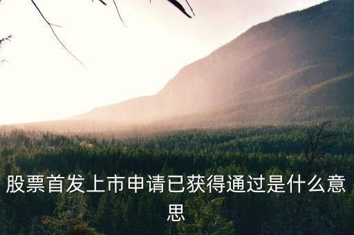 股票首發(fā)上市申請已獲得通過是什么意思