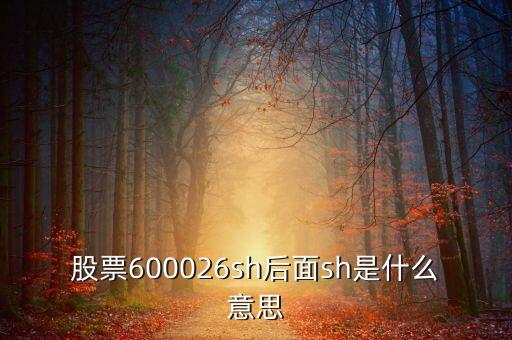 股票sh6006什么意思，股票sh600076前的sh是什么意思