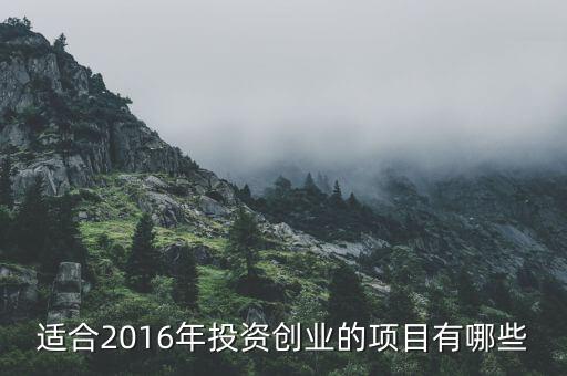 2016投資什么行業(yè)，適合2016年投資創(chuàng)業(yè)的項目有哪些