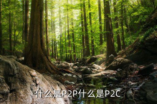 什么是p2c網(wǎng)貸平臺，什么是P2P什么是P2C