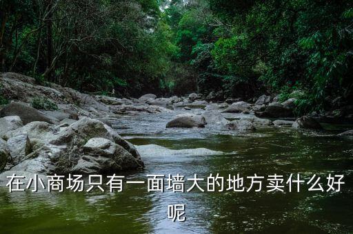 在小商場(chǎng)只有一面墻大的地方賣什么好呢