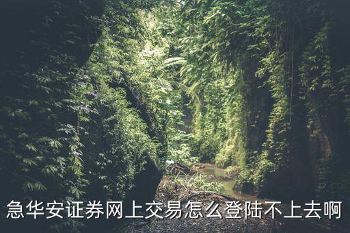 急華安證券網(wǎng)上交易怎么登陸不上去啊