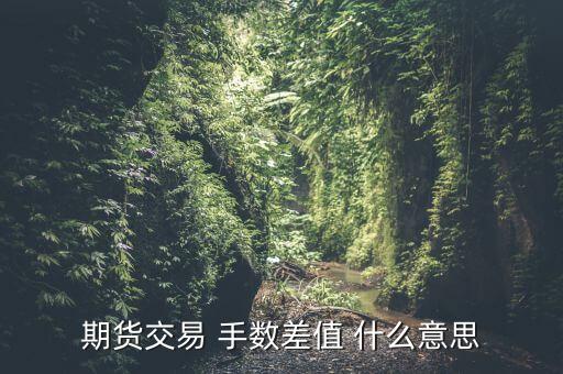 期貨允許最大成交點(diǎn)差是什么意思，期貨交易 手?jǐn)?shù)差值 什么意思