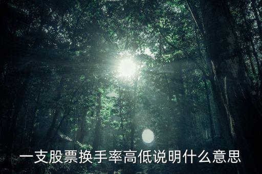 一支股票換手率高低說明什么意思