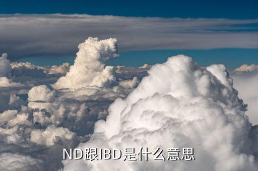 ND跟IBD是什么意思