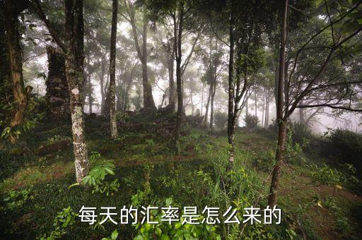 人民幣匯率為什么并軌，匯率為何會(huì)轉(zhuǎn)變