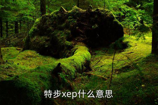 特步xep什么意思