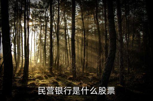 什么發(fā)現(xiàn)民營銀行，參股民營銀行股票有哪些