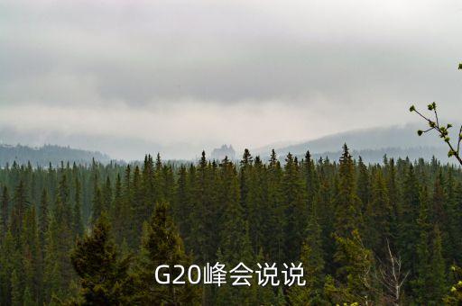 g20峰會(huì)講什么，關(guān)于G20峰會(huì)的問題