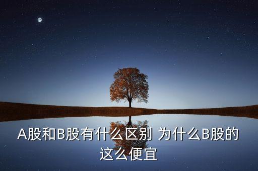 A股和B股有什么區(qū)別 為什么B股的這么便宜