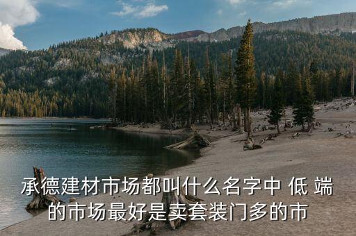 低端市場賣什么，承德建材市場都叫什么名字中 低 端的市場最好是賣套裝門多的市