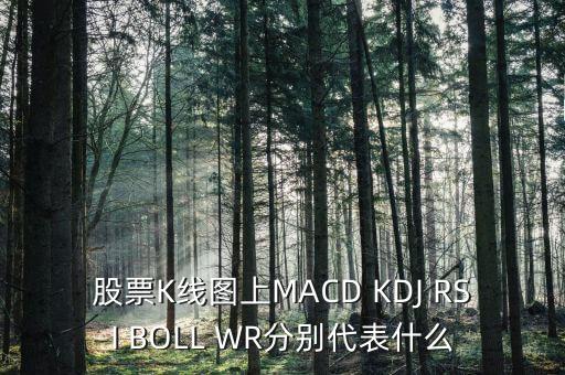 股票K線圖上MACD KDJ RSI BOLL WR分別代表什么