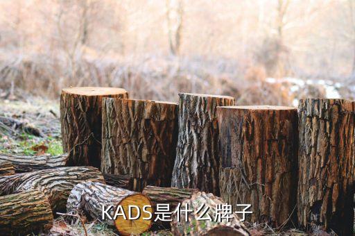 KADS是什么牌子