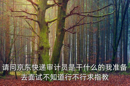 請問京東快遞審計員是干什么的我準(zhǔn)備去面試不知道行不行求指教