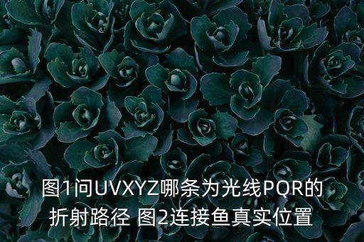 圖1問UVXYZ哪條為光線PQR的折射路徑 圖2連接魚真實位置