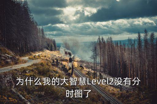 為什么大智慧沒有分時圖紅綠柱，為什么我的大智慧Level2沒有分時圖了