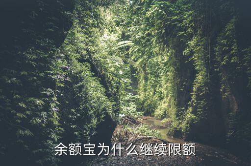 余額寶為什么繼續(xù)限額