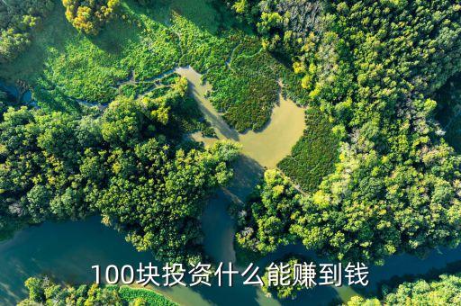 100塊投資什么能賺到錢