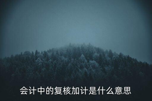 會計中的復(fù)核加計是什么意思