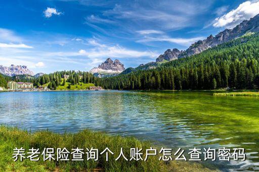 養(yǎng)老保險(xiǎn)查詢密碼是什么，養(yǎng)老保險(xiǎn)個(gè)人帳戶查詢的初始密碼是什么