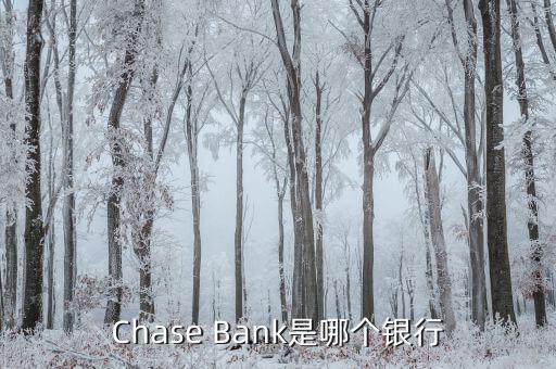 Chase Bank是哪個銀行