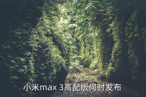 小米max 3高配版何時發(fā)布