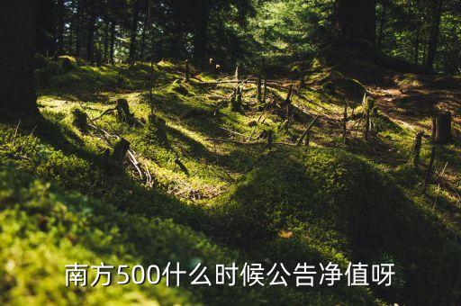 南方500什么時(shí)候公告凈值呀