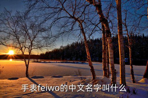 手表feiwo的中文名字叫什么