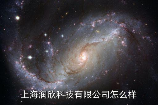 上海潤欣科技股票什么時(shí)間上市，上海潤欣科技有限公司怎么樣