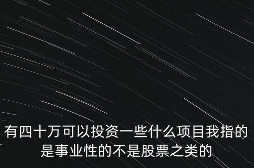 有四十萬可以投資一些什么項目我指的是事業(yè)性的不是股票之類的