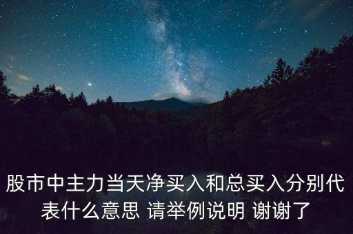 股市中主力當(dāng)天凈買入和總買入分別代表什么意思 請(qǐng)舉例說明 謝謝了