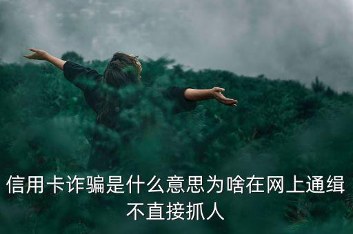 信用卡詐騙是什么意思為啥在網(wǎng)上通緝不直接抓人