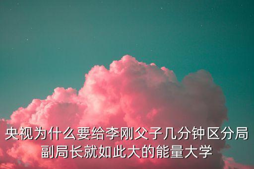 副局長妄議中央說了什么，央視為什么要給李剛父子幾分鐘區(qū)分局副局長就如此大的能量大學(xué)