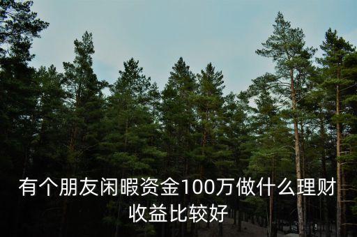 有個朋友閑暇資金100萬做什么理財收益比較好