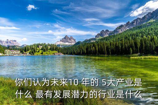 你們認為未來10 年的 5大產業(yè)是什么 最有發(fā)展?jié)摿Φ男袠I(yè)是什么