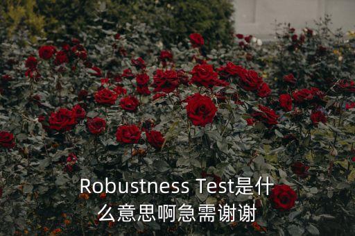 Robustness Test是什么意思啊急需謝謝