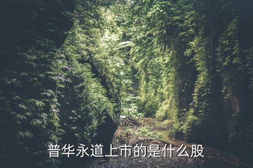 普華永道上市的是什么股