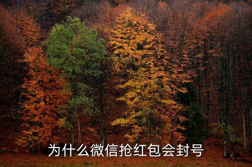 為什么搶紅包會封紅包，微信搶紅包為什么會封號