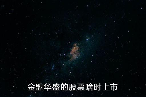 金盟華盛的股票啥時上市