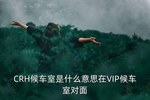 動車vip是什么意思，動車組vip餐是什么意思啊