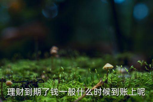 理財(cái)?shù)狡诹隋X一般什么時(shí)候到賬上呢