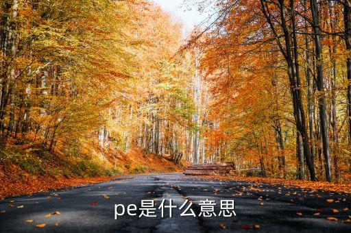 pe是什么意思