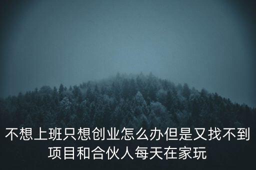 不想上班只想創(chuàng)業(yè)怎么辦但是又找不到項(xiàng)目和合伙人每天在家玩