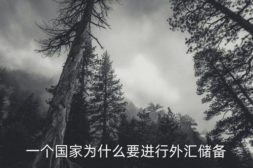 一個(gè)國(guó)家為什么要進(jìn)行外匯儲(chǔ)備