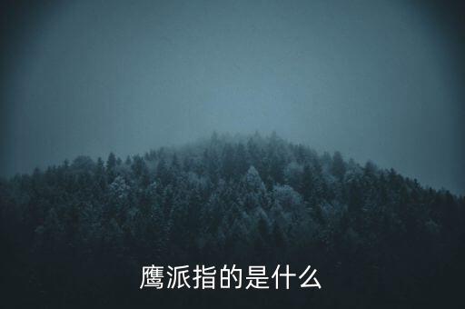 美聯(lián)儲(chǔ)鷹派是什么意思，美國(guó)政壇里的鷹派是什么意思