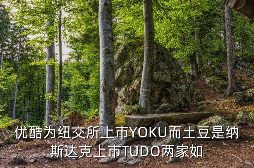 優(yōu)酷為紐交所上市YOKU而土豆是納斯達(dá)克上市TUDO兩家如