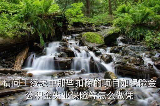 請(qǐng)問(wèn)工資表中那些扣除的項(xiàng)目如保險(xiǎn)金公積金失業(yè)保險(xiǎn)等怎么做憑